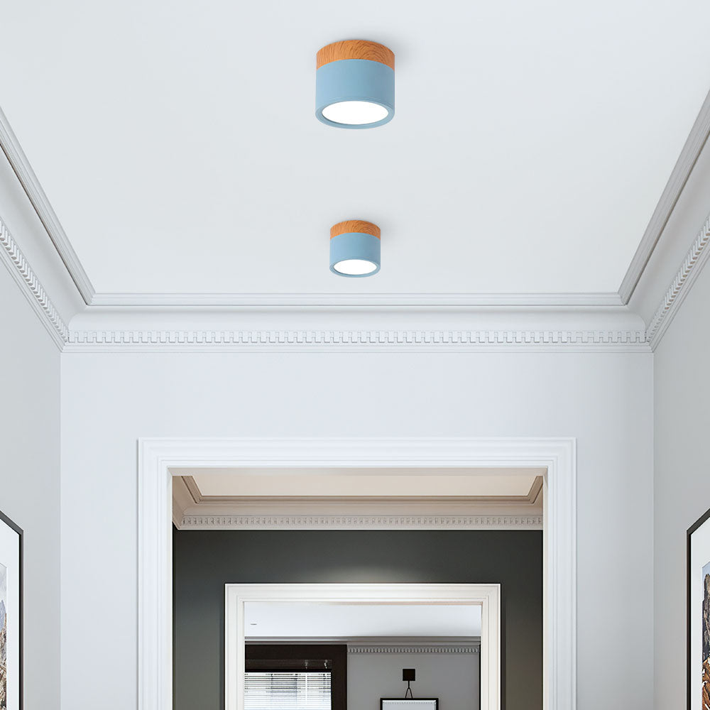 Small Cylindrical Flush Ceiling Light | LED