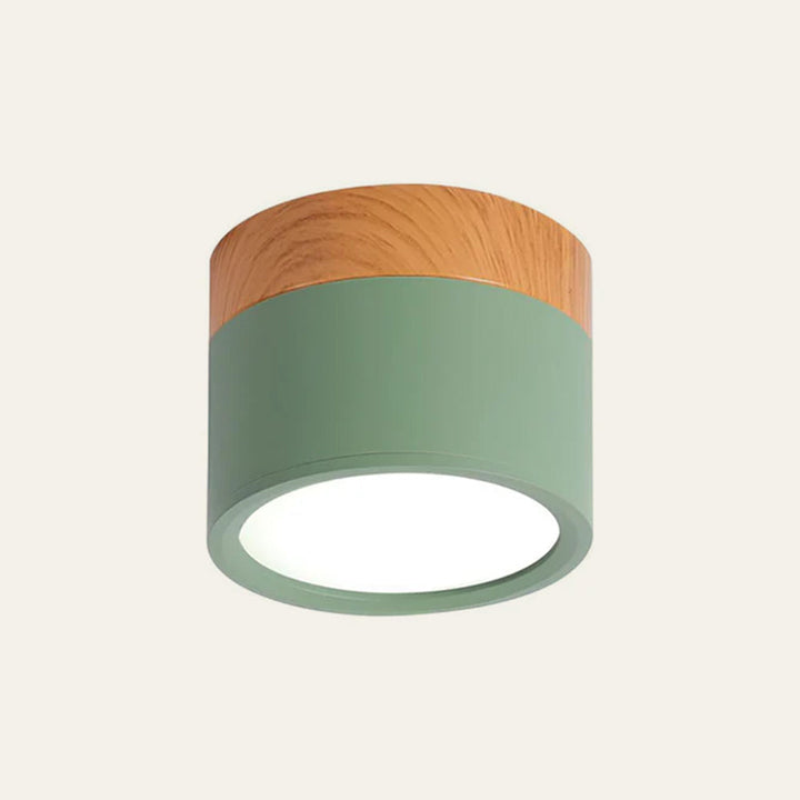 Small Cylindrical Flush Ceiling Light | LED