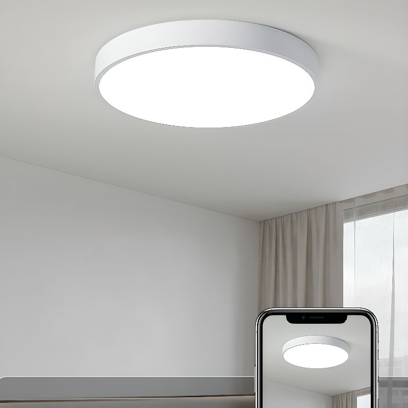 Modern Round Flush Mount LED Ceiling Lights