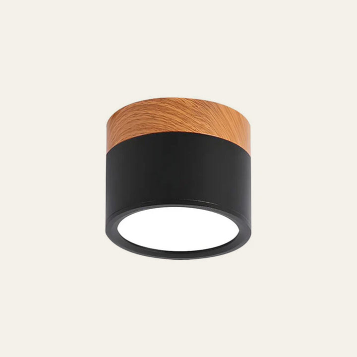 Small Cylindrical Flush Ceiling Light | LED