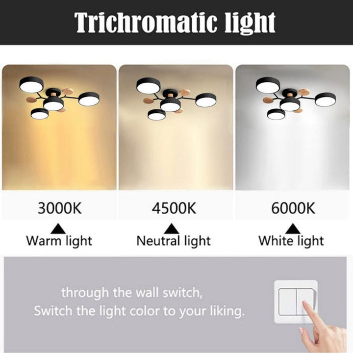 Modern Circular Living Room Ceiling Light | LED