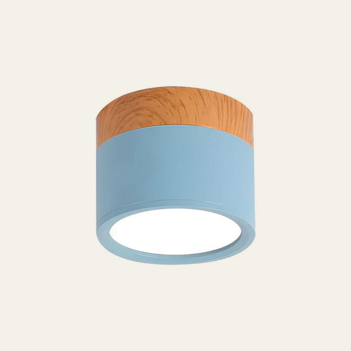 Small Cylindrical Flush Ceiling Light | LED