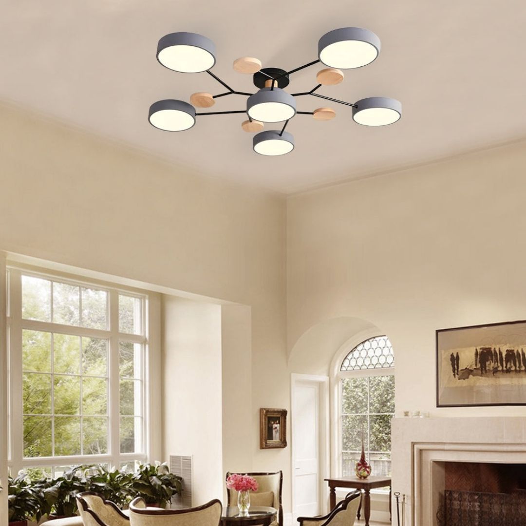 Modern Circular Living Room Ceiling Light | LED