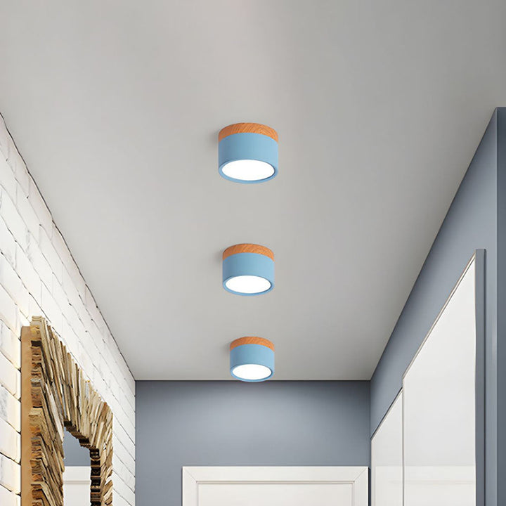 Small Cylindrical Flush Ceiling Light | LED