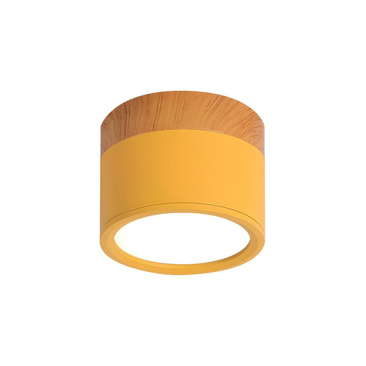 Small Cylindrical Flush Ceiling Light | LED