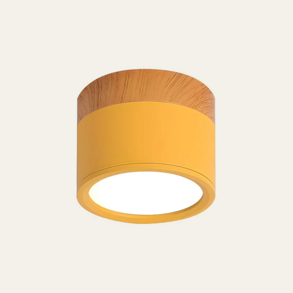 Small Cylindrical Flush Ceiling Light | LED