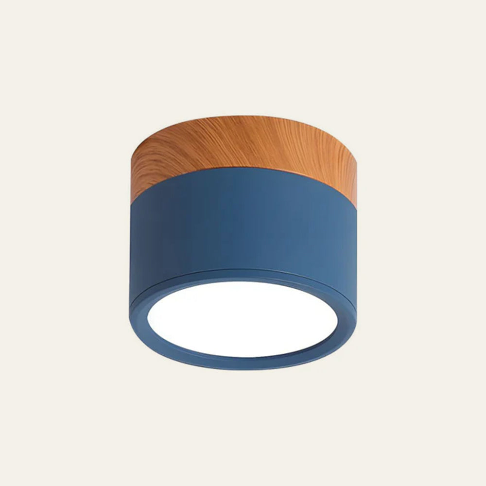 Small Cylindrical Flush Ceiling Light | LED