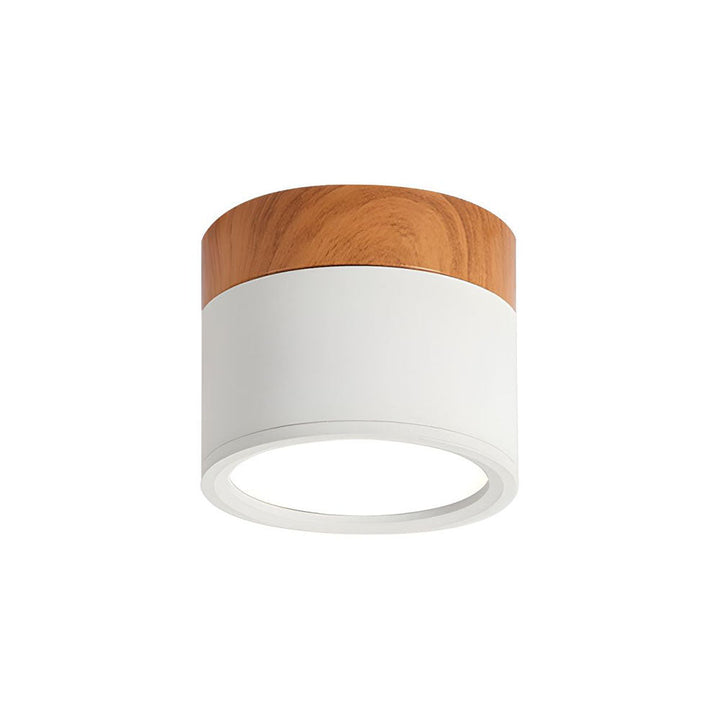 Small Cylindrical Flush Ceiling Light | LED