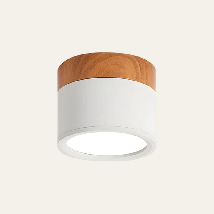 Small Cylindrical Flush Ceiling Light | LED