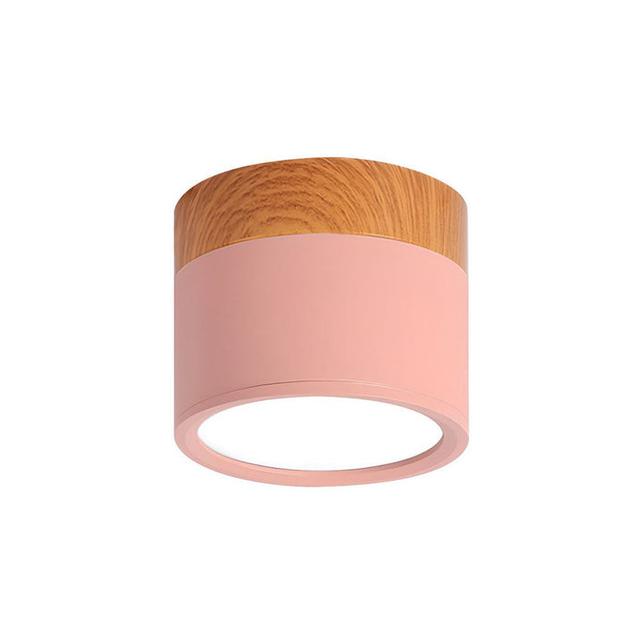 Small Cylindrical Flush Ceiling Light | LED