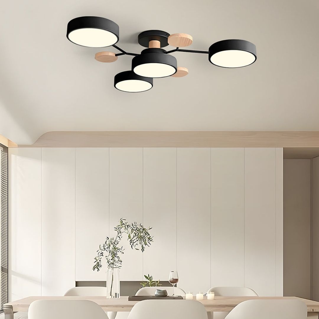 Modern Circular Living Room Ceiling Light | LED