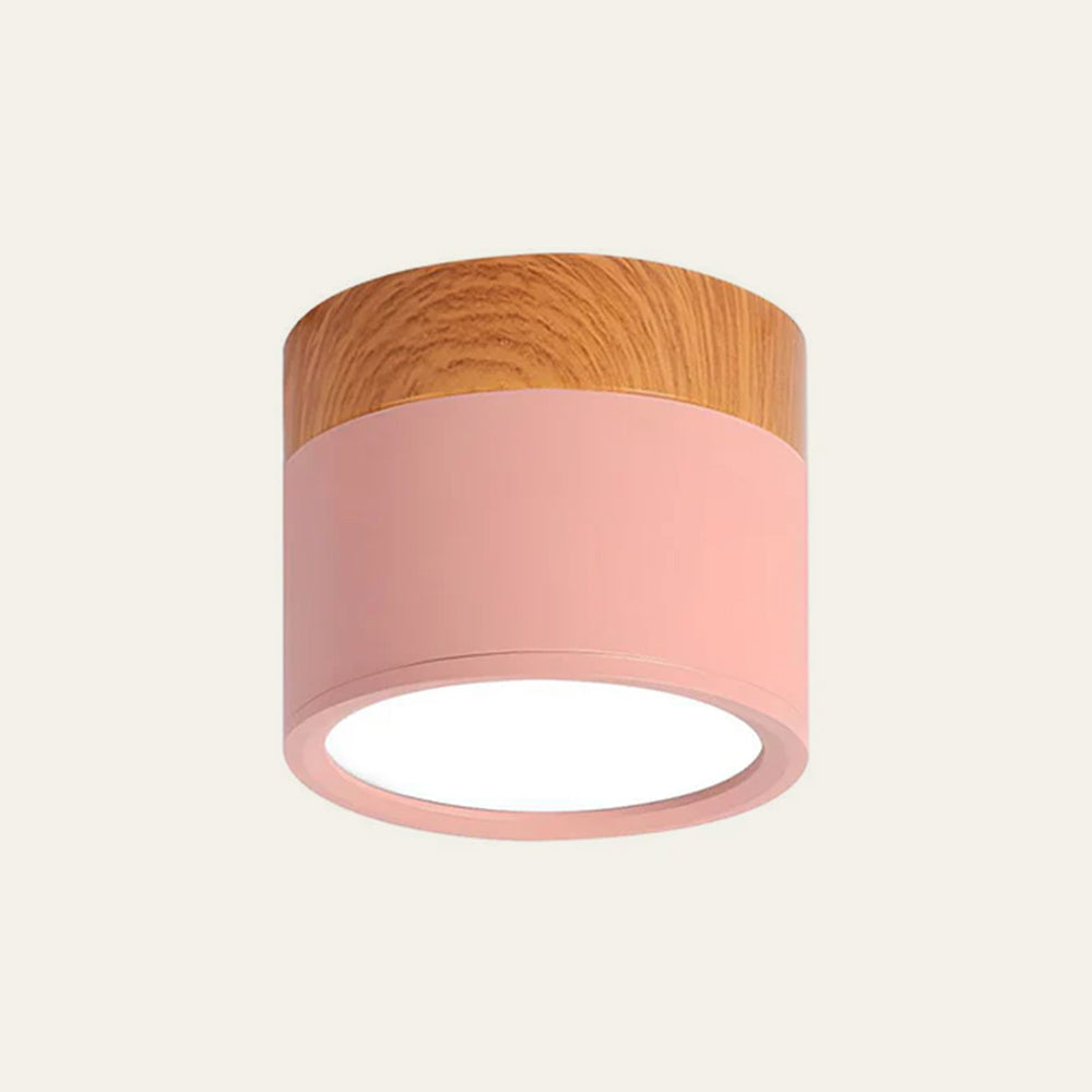 Small Cylindrical Flush Ceiling Light | LED
