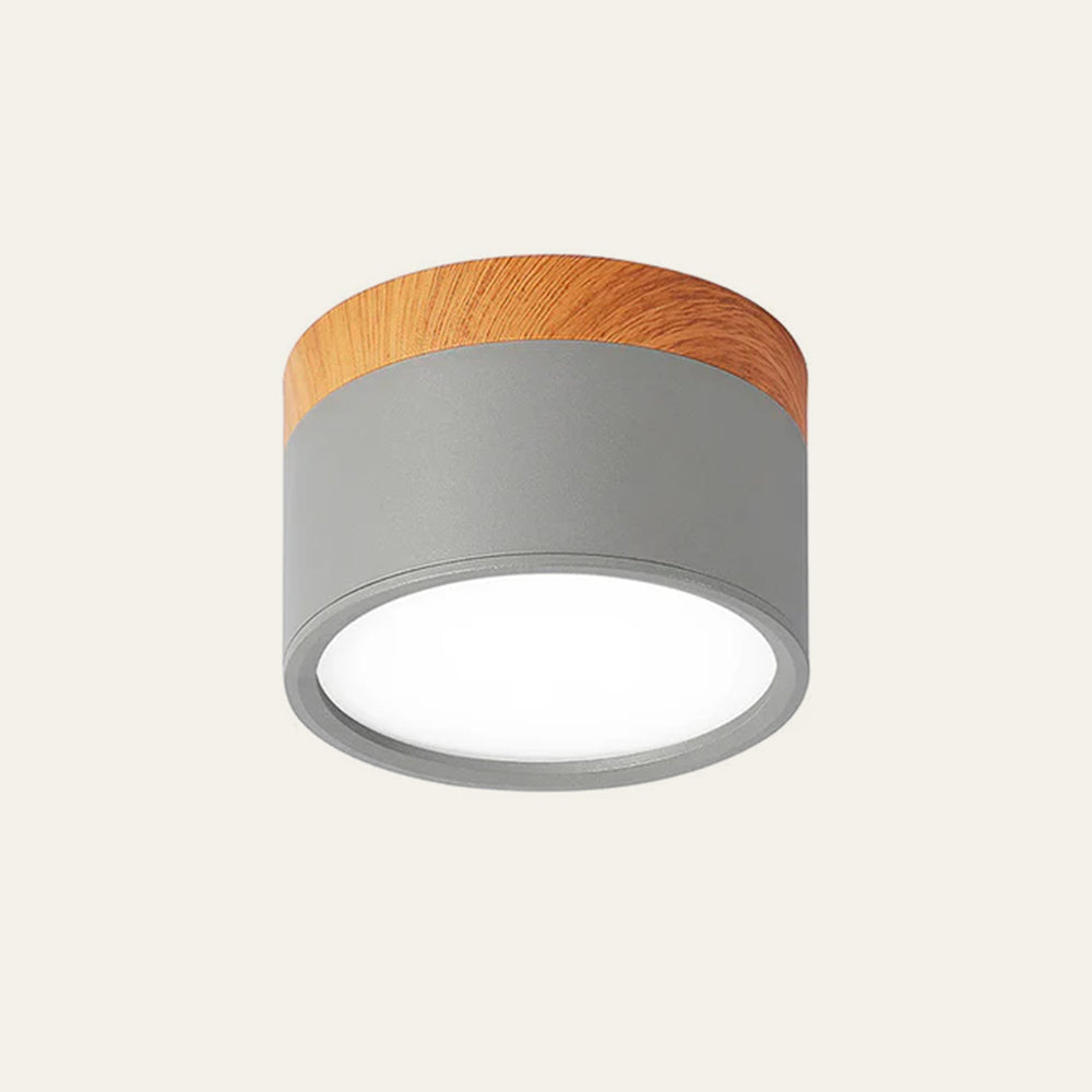 Small Cylindrical Flush Ceiling Light | LED