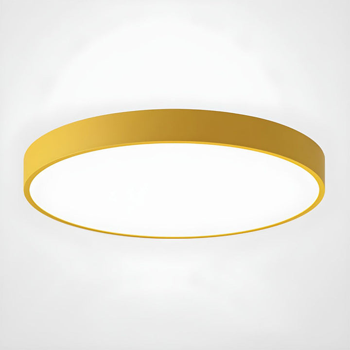 Modern Round Flush Mount LED Ceiling Lights