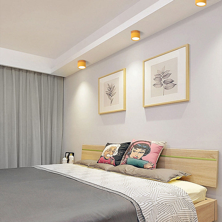 Small Cylindrical Flush Ceiling Light | LED