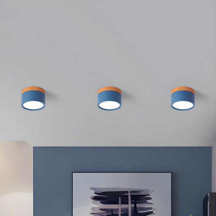 Small Cylindrical Flush Ceiling Light | LED