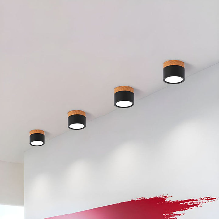 Small Cylindrical Flush Ceiling Light | LED