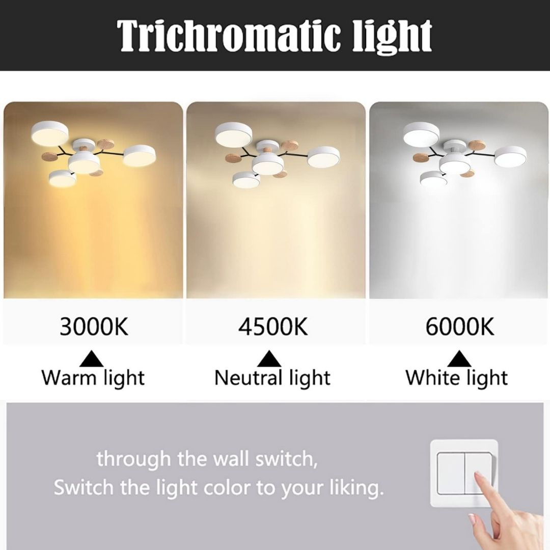 Modern Circular Living Room Ceiling Light | LED