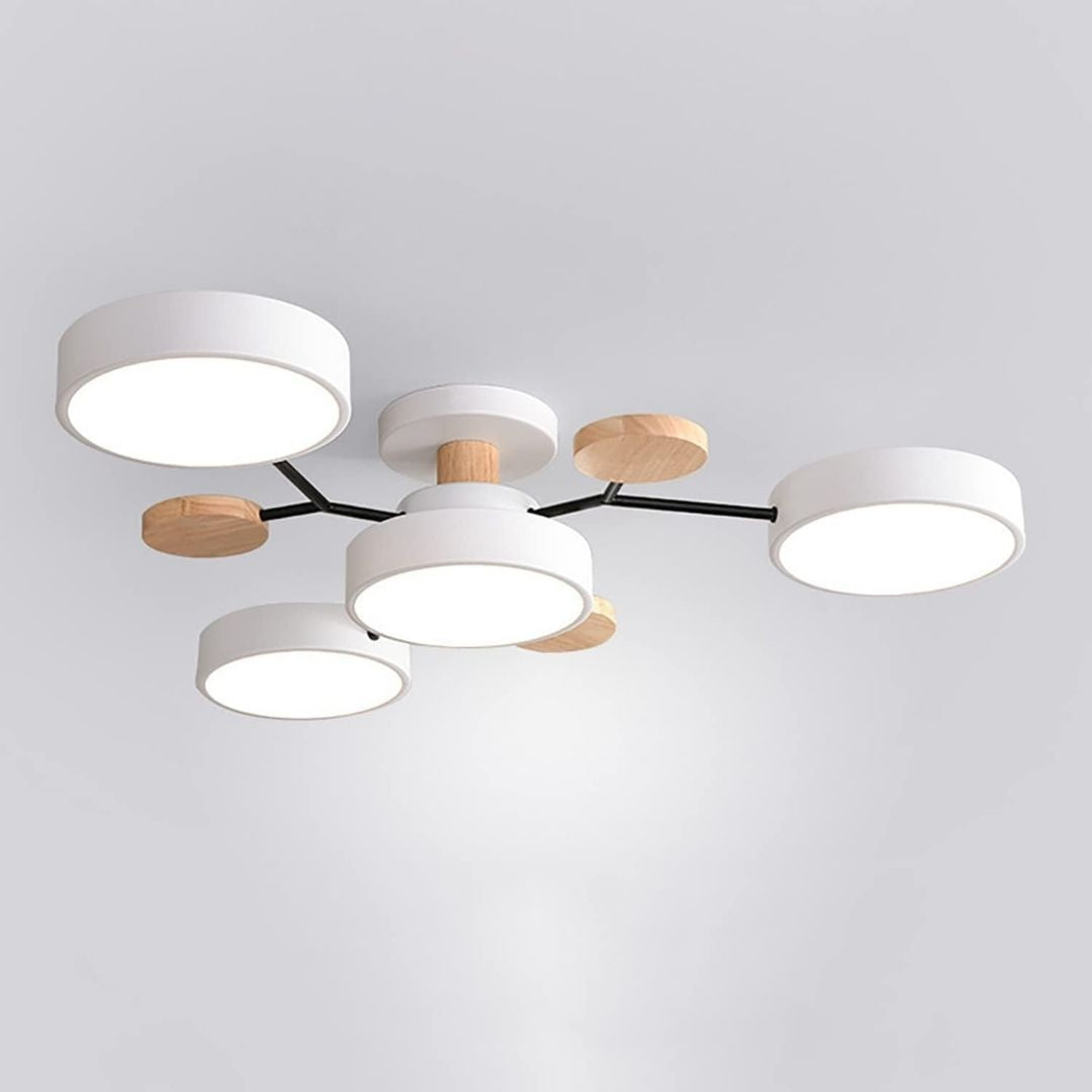 Modern Circular Living Room Ceiling Light | LED