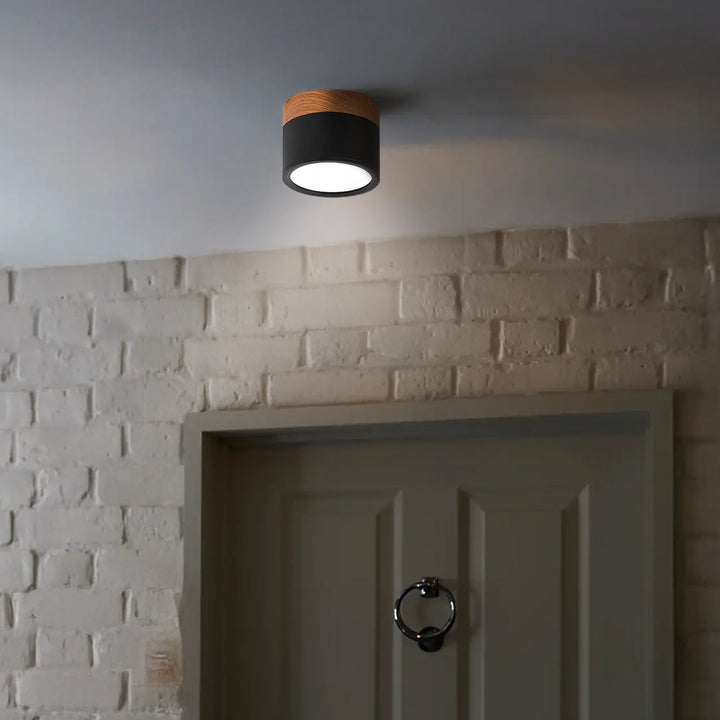 Small Cylindrical Flush Ceiling Light | LED