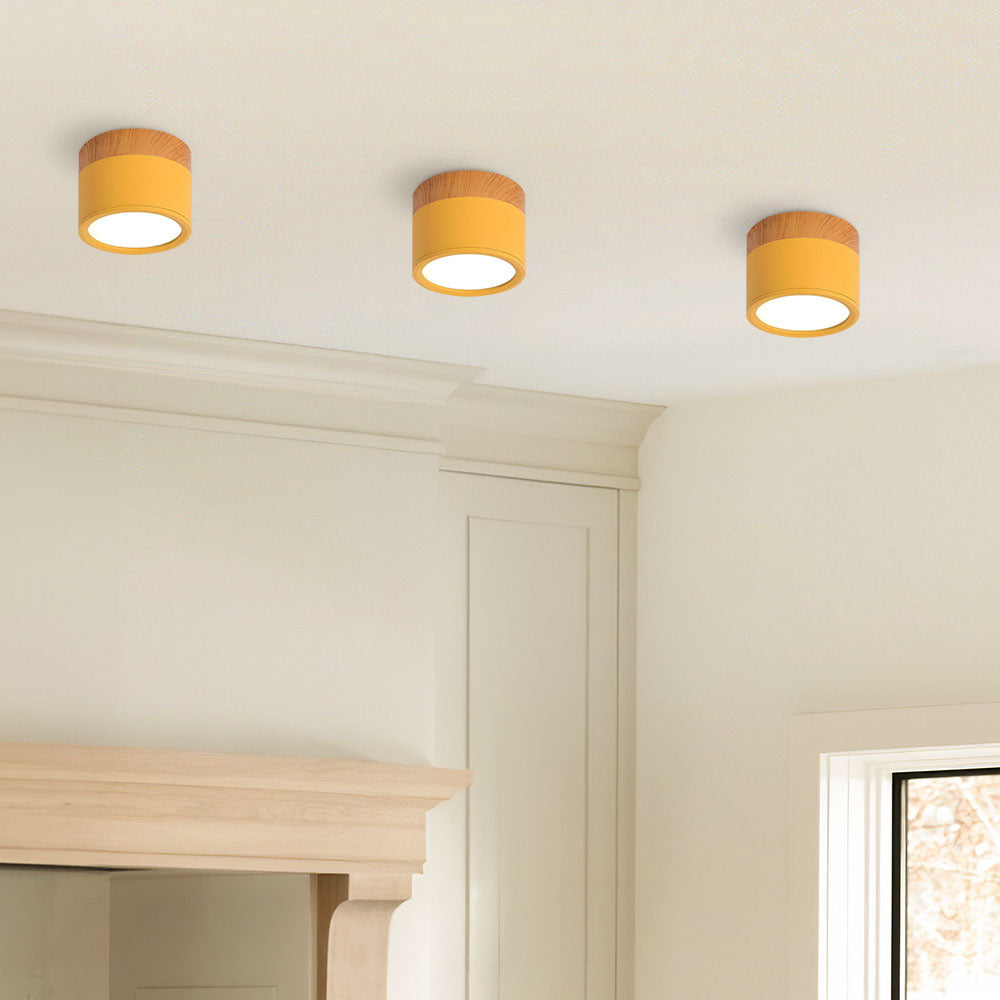 Small Cylindrical Flush Ceiling Light | LED