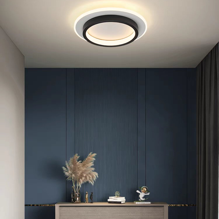 Round Metal-Acrylic For Hallways Ceiling Lights | LED