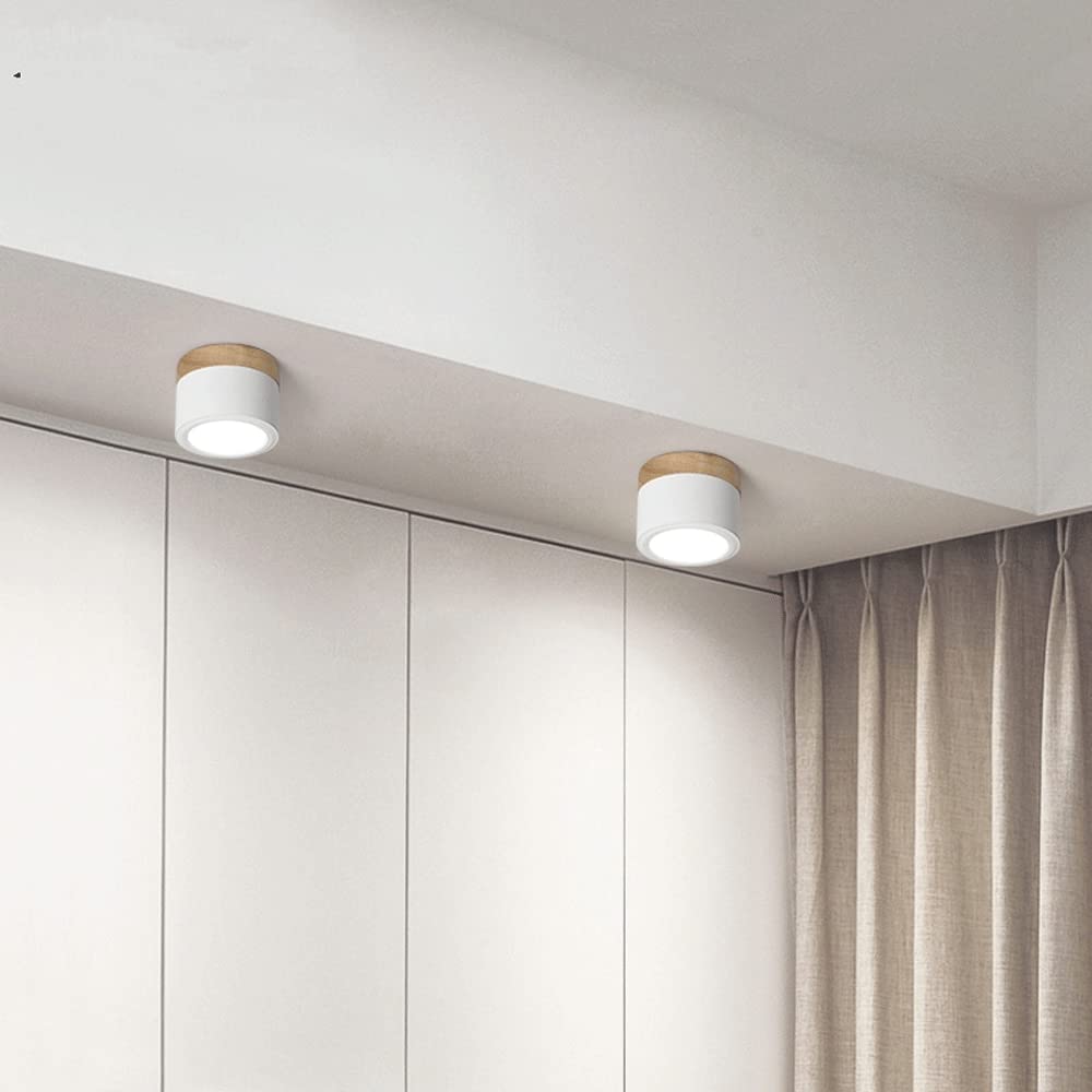 Small Cylindrical Flush Ceiling Light | LED