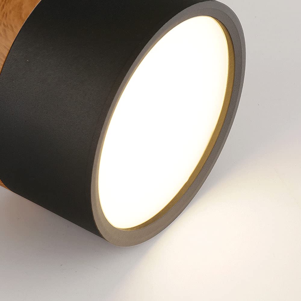 Small Cylindrical Flush Ceiling Light | LED