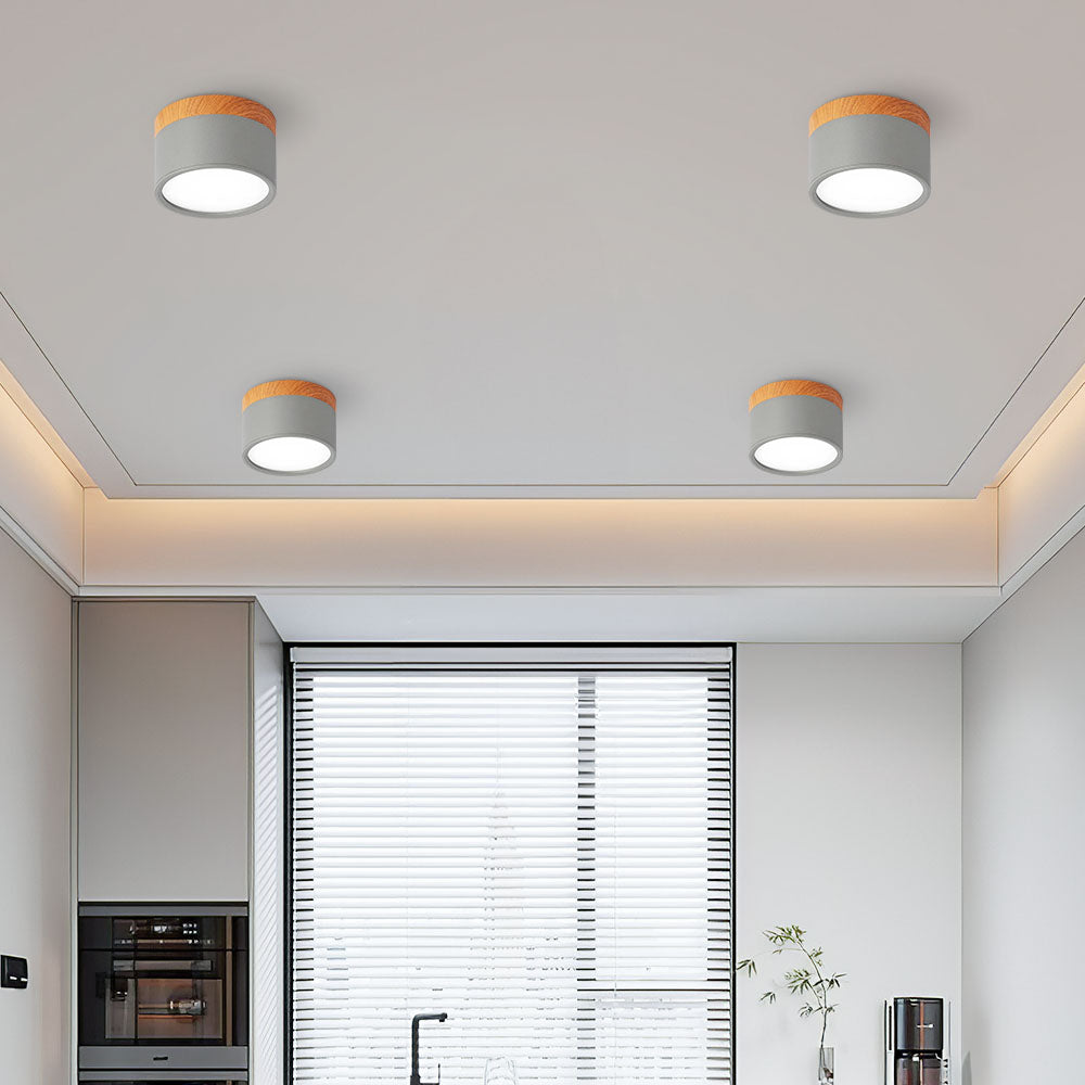 Small Cylindrical Flush Ceiling Light | LED