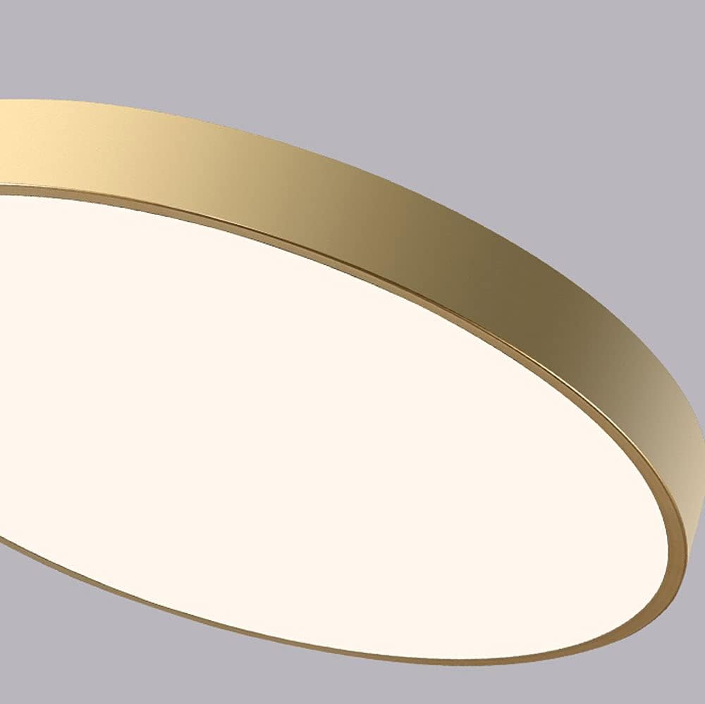 Modern Round Flush Mount LED Ceiling Lights