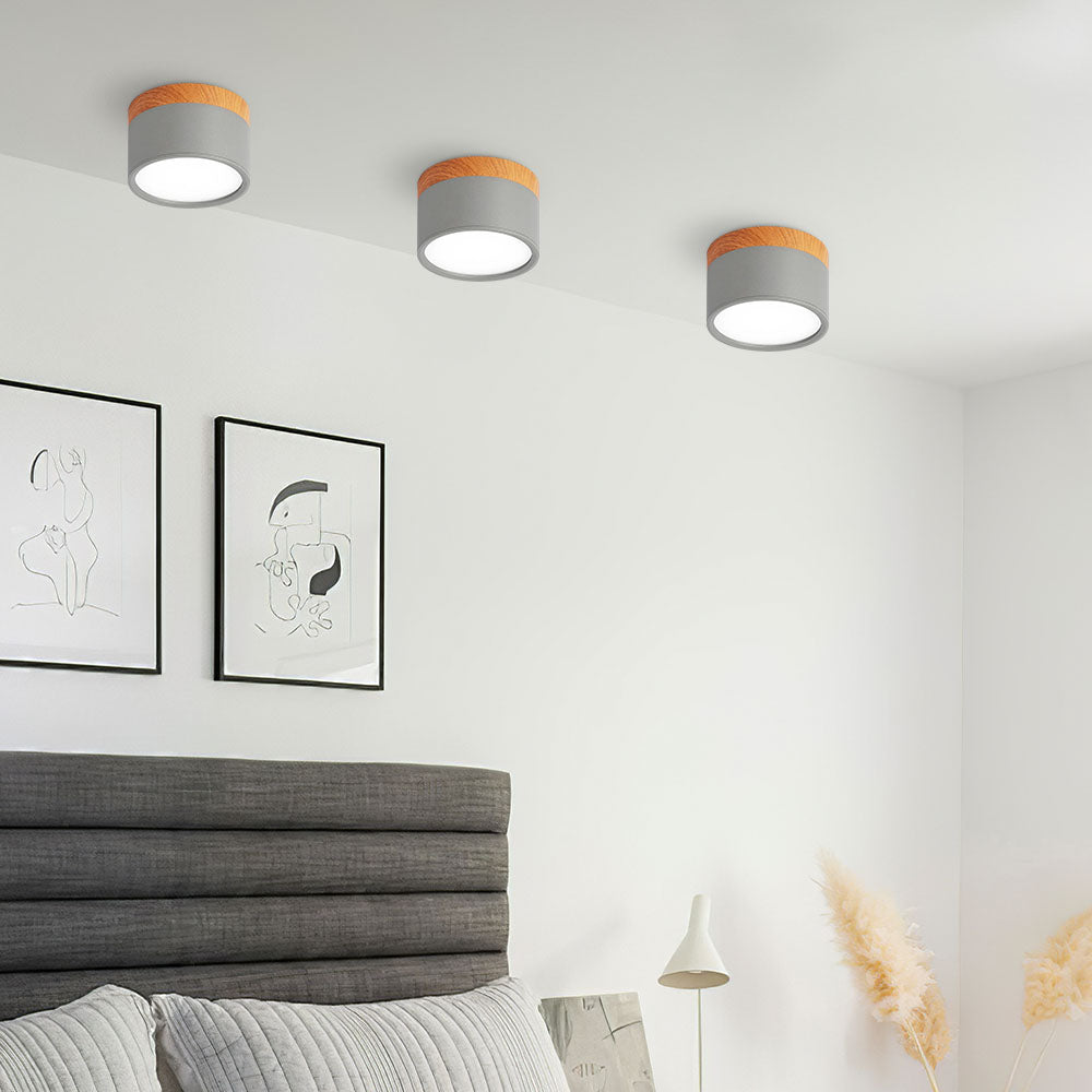 Small Cylindrical Flush Ceiling Light | LED