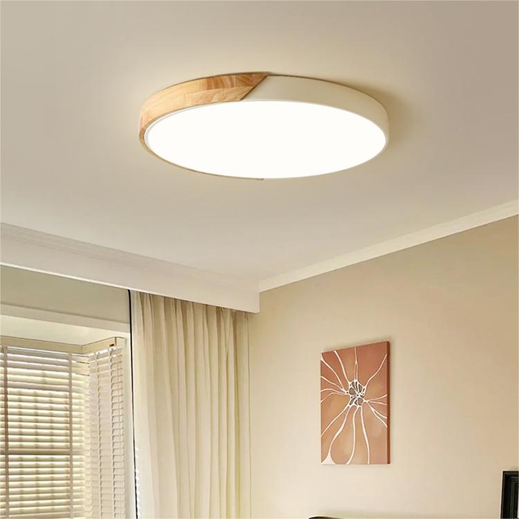 Colored Round LED Ceiling Lights