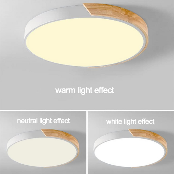 Colored Round LED Ceiling Lights