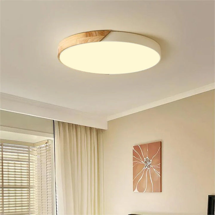 Colored Round LED Ceiling Lights