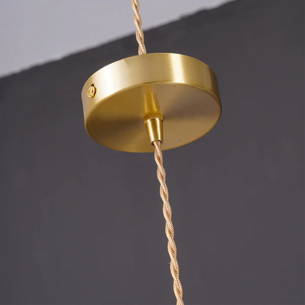 Stylish Hibiscus Flower Pendant Light Lamp